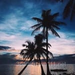 Avatar of Waqar Hussain